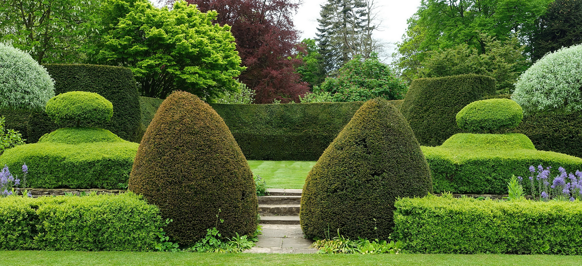 Anchor Tree Services